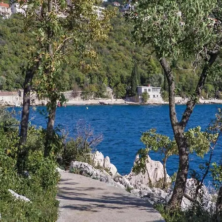 Apartment In Croatia With Pool & Forest View Dramalj