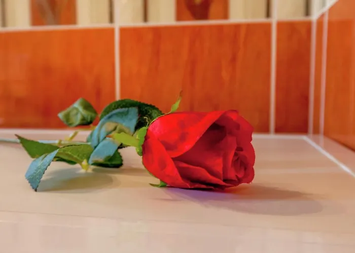 In Croatia With Pool & Forest View *